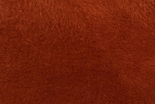 Lynx Burnt Organge (Deluxe)